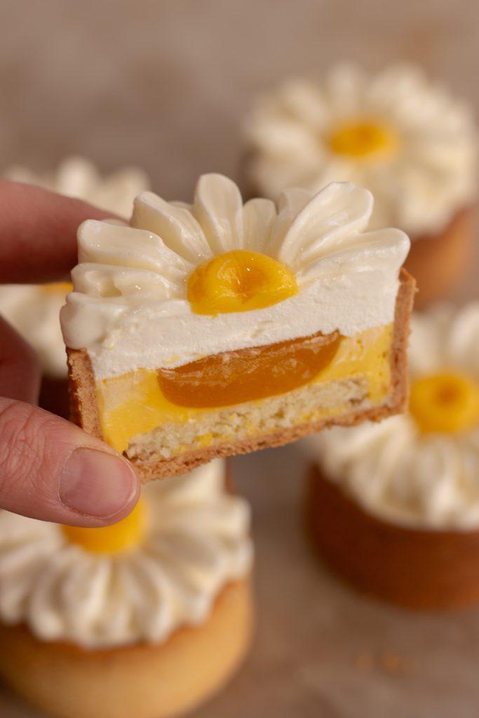 COCO_MANGUE_PASSION_PAEMA