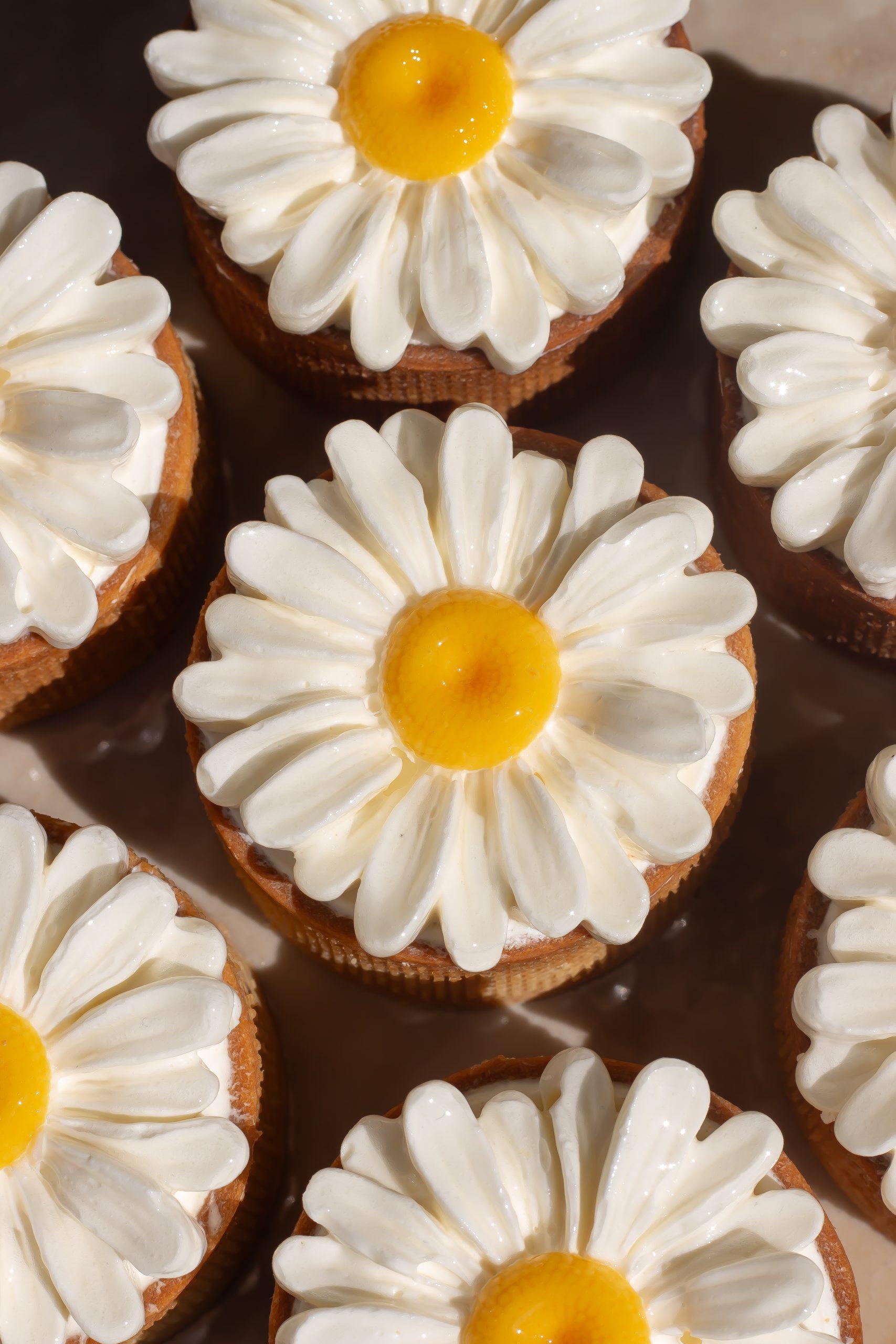 COCO_MANGUE_PASSION_PAEMA