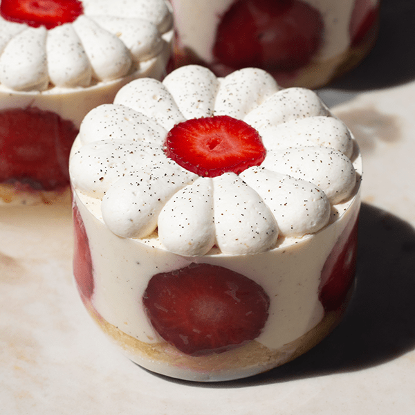 Fraisier (individuel)
